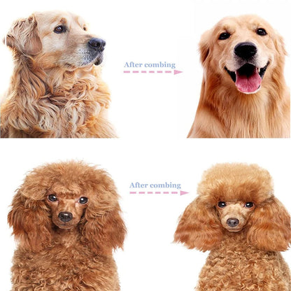 BUY 1 GET 1 FREE(2PCS)🐾 Professional Deshedding Tool for Dogs & Cats – Gentle, Efficient & Fur-Free Home ✨💖